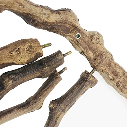 6 PCS Bird Perch Stand Natural Grapevine with Chewing Toys for Parrots, Parakeets, Cockatiels, Conures, Macaws, Love Birds (Style 8) - color: Style 8