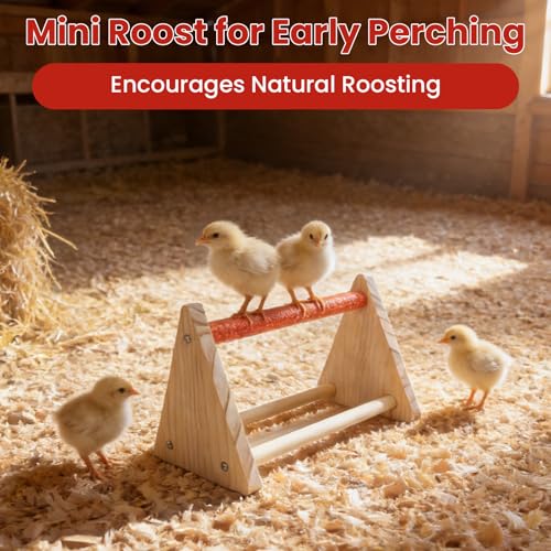 Chick Feeder & Waterer Starter Kit with 2 Trough Feeders and Roost Bar – No-Leak Baby Chick Waterer and Feeders Set for Chicks, Ducklings, Quail & Small Poultry – Essential Brooder Supplies