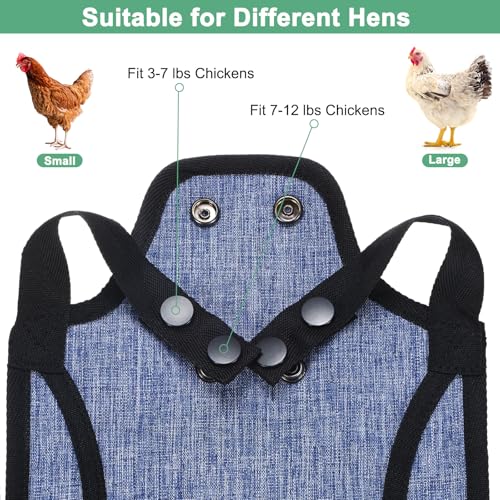 M METERXITY 4-Pack Premium Chicken Saddle, 25.4cm/10" Hens Saddle with Adjustable Strap Birds Feather Protector for Back and Sides Poultry Saver for Hens and Roosters [Blue,Purple Each 2] - color: Blue,Purple
