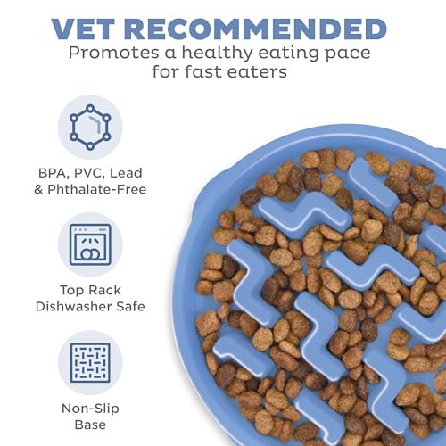 Outward Hound Fun Feeder Slo Bowl – Large 4‑Cup Capacity, Slow Feeding, Medium to Large Dogs, Non‑Slip, Blue, Notch Pattern - color: Blue, size: Large