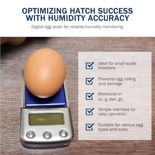 Digital Scale with Blue Backlit LCD Display - Accurate Humidity Measurement