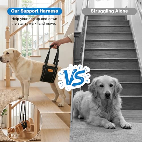 Vivifying Dog Lift Harness for Large Dogs, Soft Bird's-Eye Rear Leg Support Sling, Dog Lifting Harness for Weak Back Legs, Senior Injured Disabled Dogs, ACL Surgery Mobility Assist, L, White - size: L