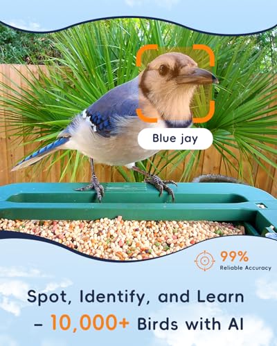Bird Feeder with Camera, 32MP Photos & 4K Video with Live View, 5GHz/2.4GHz WiFi, AI Identify Birds Species and Instant Arrival Alerts for Bird Lovers
