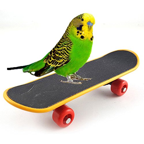 Bird Parrot Intelligence Toys Training Skateboard Stand Perch for Parakeet Budgies Cockatiels Lovebird Funny Talbe Toy - color: Mini Skateboard