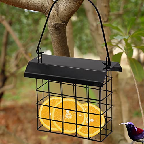 FORUP Suet Bird Feeder, Hanging Suet Feeder, Single Suet Cake Bird Feeder, One Suet Capacity, 2 Pack