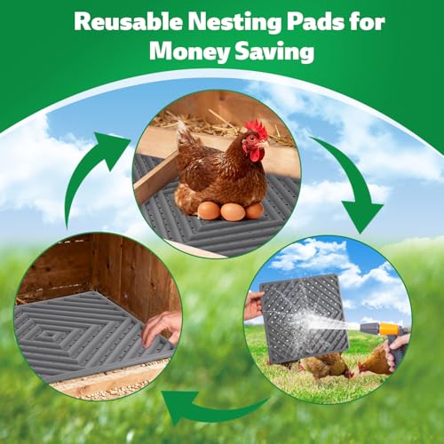 Chicken Nesting Pads for Chicken Coop, Washable Laying Pads for Nesting Box, Reusable Hen Nesting Box Pads for Coop Bedding, Easy to Clean, 12" x 12", Grey, 3 Pack - color: Grey