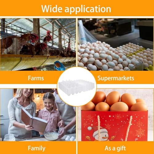 36 PCS Plastic Egg Cartons Cheap Bulk 24 Count Clear Blank Egg Cartons with Free Labels Holds up to 24 Eggs Securely Reusable Egg Carton for Family Pasture Chicken Farm Market Display, 4x6 Grids - size: 4x6
