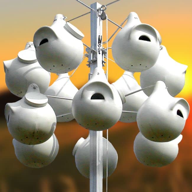 Troyer's Deluxe Gourd Rack with 12 Crescent SREH Gourds