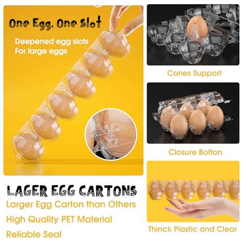 100 Pack Large Egg Cartons Cheap Bulk 12 Count Plastic Egg Containers 2x6 | Large Reusable Bulk Egg Carton Clear Egg Holder for Home Ranch Farm Commercial Market Plastic Egg Contains for Craft Project - size: 100Pack-2x6 Large