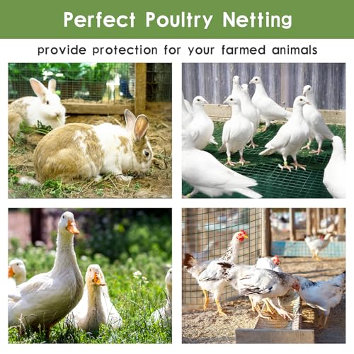 Tongmo 24" x 100' Green Chicken Wire Fencing, 19 Gauge Green Wire Fence, 1"x1" Mesh Size Metal Welded Wire Garden Fence Roll, Poultry Netting for Rabbit/Duck/Chicken