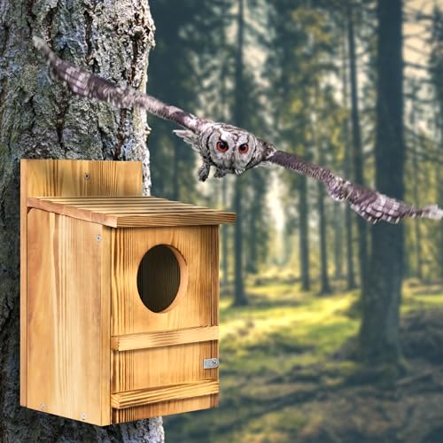 Barred Owl House, 9" x 14.5" Large Owl Bird Box Handmade, Brown | Wooden Circular Opening for Outside with Mounting Screws and A Bag of Wood Shavings, Easy Assembly Required, Easy to Clean - color: brown, size: 9" x 14.5"