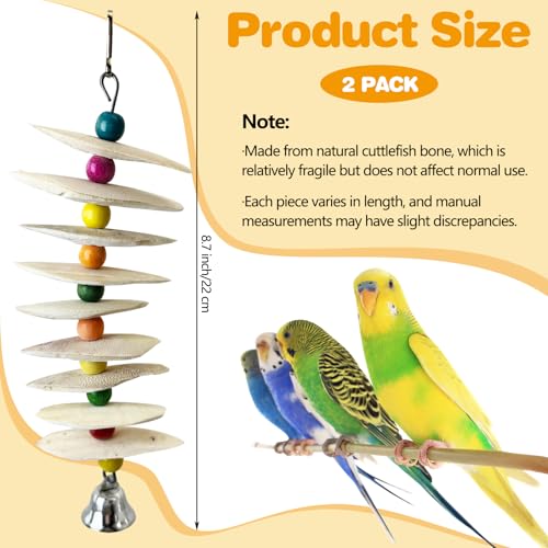 PINVNBY 2 Pack Natural Bird Toys with Cuttlebone Calcium Parakeet Chewing Toy Hanging Bird Beak Grinding Stone Cage Accessories for Parrot Budgie Lovebird Cockatiel (Large) - size: Flaky