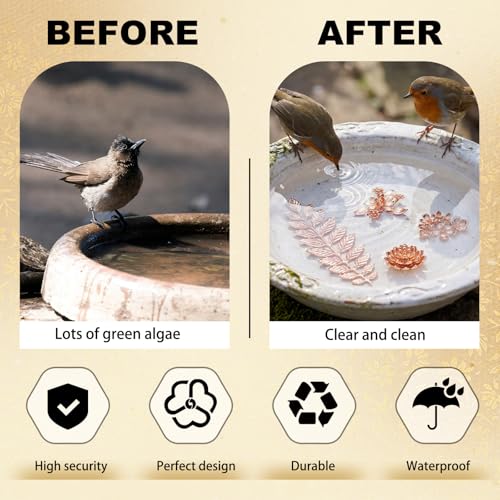 4 Pcs Mini Bird Bath Copper Ornaments Bird Bath Purification Disk Birdbath Cleaner Single 1 oz Weight Universal Fit for Outdoor Birdbaths, Bowl (Bouquet, Lotus,Triple Blossom, Laurel Leaf) - style: Bouquet, Lotus,Triple Blossom, Laurel Leaf