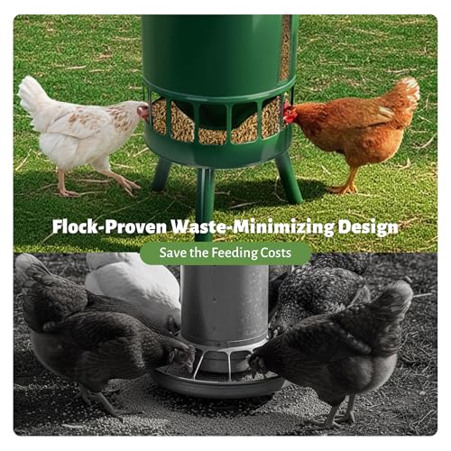 KOL 50LB Metal Chicken Feeder - No Waste, No Clog Design with 16 Ports & Smooth Gravity-Flow, Powder Coated Rust-Proof for Coop Use (Green) - color: Green