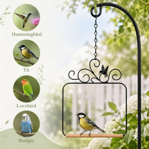 Grevosea Hummingbird Swings and Perches, Metal Frame Hummingbird Perch with Wooden Dowel and Hanging Chain Black Bird Swing for Outdoor Garden Lawn Patio Yard Bird Accessories