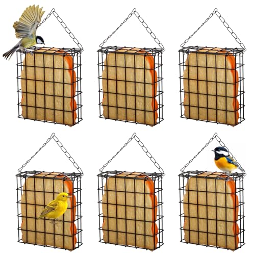 6 Pack Suet Bird Feeders, Outdoor Hanging Metal Cage for Wild Birds, Single Suet Cake Capacity, Garden and Yard Decor