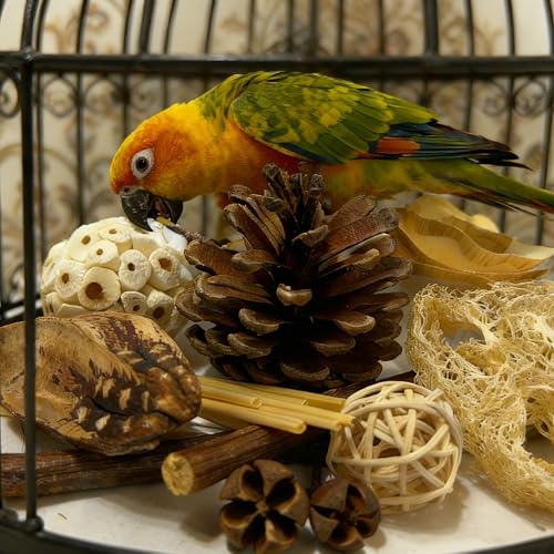 Bird Toys - Sola Ball Foraging Box, 10 Natural Ingredients | Chewing and Shredding Parrot Toys | Ideal for Parakeets/Cockatiels/Conures/Lovebirds and Small to Medium Birds - size: Sola Ball Foraging Box