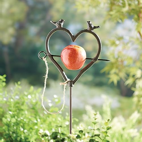 Art & Artifact Heart Shaped Bird Feeder Stake, 39" High | Cast Iron, Bird Kabob Fruit Holder, Metal Heart Art Garden Stake, Bird Perch