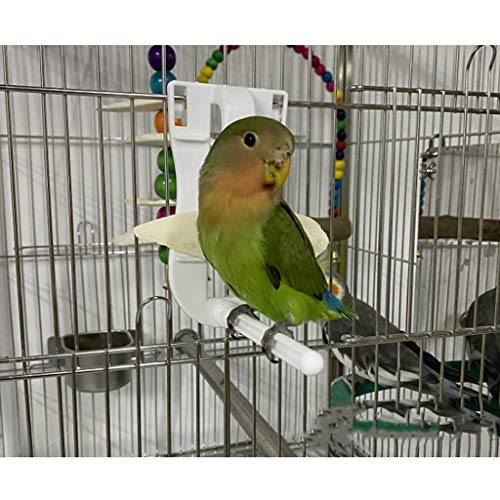 Bird Treat Holder Small Animal Fruit Vegetable Feeder Clips Food Cuttlebone Easy to Install Keeping Hands
