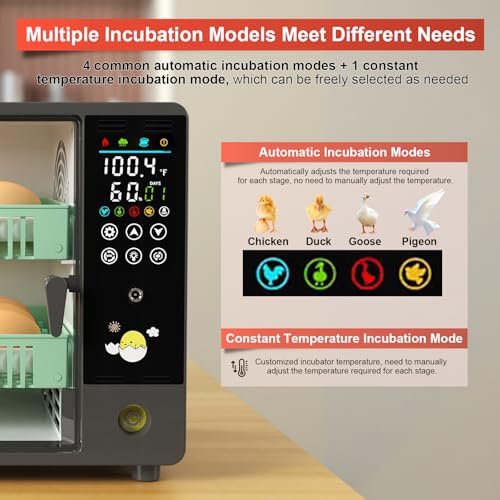Egg Incubator for Hatching 24 Chicken Eggs |84 Quail Eggs | Precise Temperature & Humidity Control, Adjustable Rollers for Duck,Goose,Pigeon Egg, Auto Egg Turning,Water Refilling