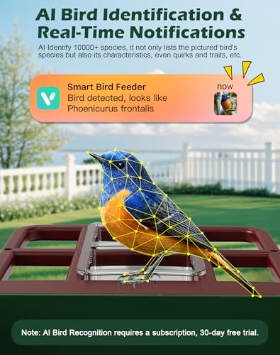 Smart Bird Feeder with Camera,5200mAh Battery with Solar Panel, 4K Native Resolution Live View, AI Species Identification, Auto Capture & Instant Arrival Alert, Ideal Gift for Bird Lovers (Red Green) - color: Green