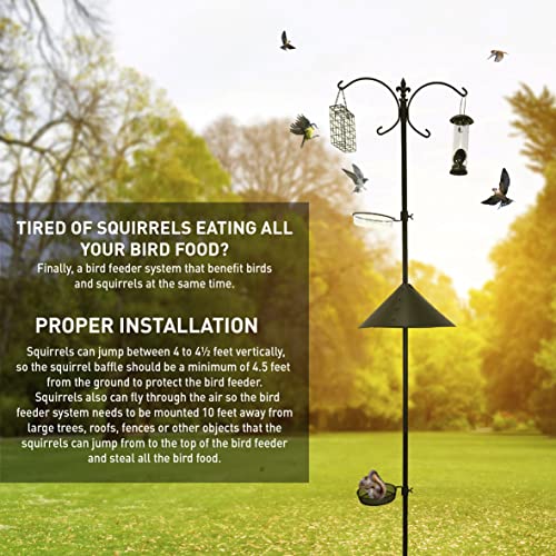 EasyGo Product Squirrel Proof Bird Feeder Wild Bird Station - Powder Coated 81 Inch Steel Pole Squirrel Baffle 2 Bird Feeders 1 Squirrel Peanut Feeder - 5 Prong Base PATENTS PENDING