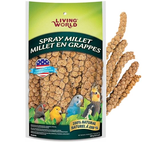 Living World - Millet Spray for Birds, 3.5 Oz – Premium Treat for Budgies, Canaries, Finches, Cockatiels and Other Pet Birds - size: 3.5 Ounce (Pack of 1)