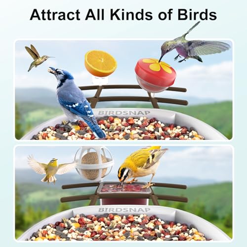 birdsnap® PAV Bird Feeder with Camera Solar Powered 2K Live Video 64GB Card | AI Bird Species Identification, Instant Arrival Alerts, IP65 Waterproof, Wild Bird Feeders for Outdoors, Gift for Bird Lovers - color: Dark Brown