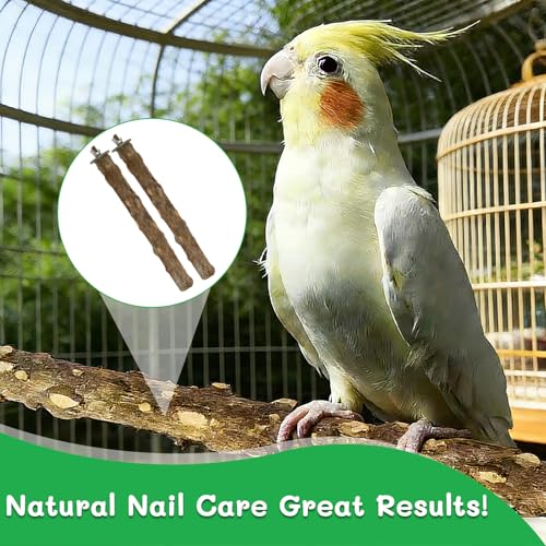 48" Bird Rope Perch & 2 Pack 7.9" Pepper Wood Perch Set, Flexible Climbing Toy & Bird Cage Perches for Parakeets, Cockatiels, Budgies, Lovebirds & Small to Medium Birds