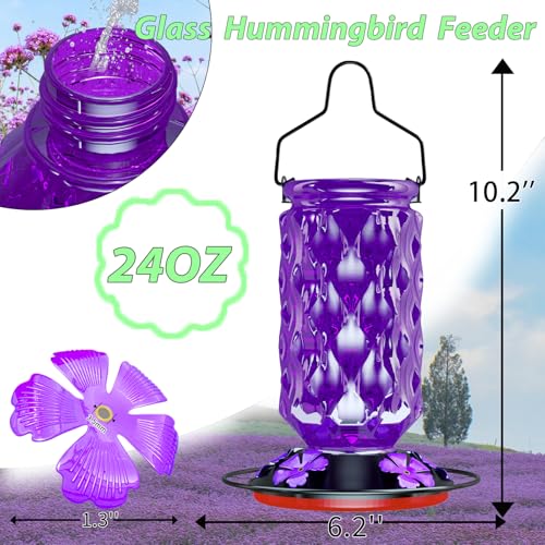 24OZ Glass Hummingbird Feeders for Outdoors Hanging,Five Feeding Ports with Perch, Leak Proof for Gardens Decor Backyard, Bird Feeder for Outside, Birthday Gifts for Women Men, Gifts for Mom Dad - color: Purple