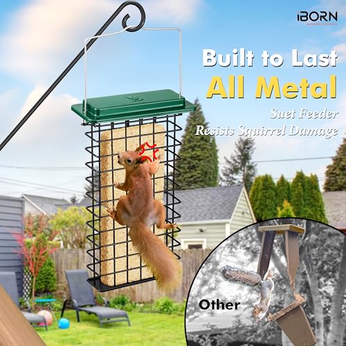 iBorn Metal Double Suet Feeder,Durable Suet Cake Cage Bird Feeder for Outdoors Hanging，Metal Roof Bird Feeder with Taller Grid for Woodpeckers,Large Suet Holder,Easy Clean & Refill,1 Pack,Green - color: Green, size: Double Capacity