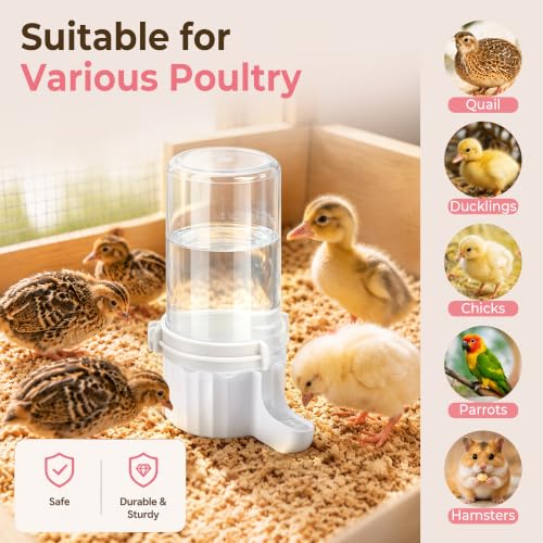 2 Pack Quail Waterer, Leak-Proof & Anti-Drowning Design, 16.7 oz Automatic Gravity Chicks Water Feeder with Hanging Hooks, Easy Clean Transparent Water Dispenser for Quail & Small Birds