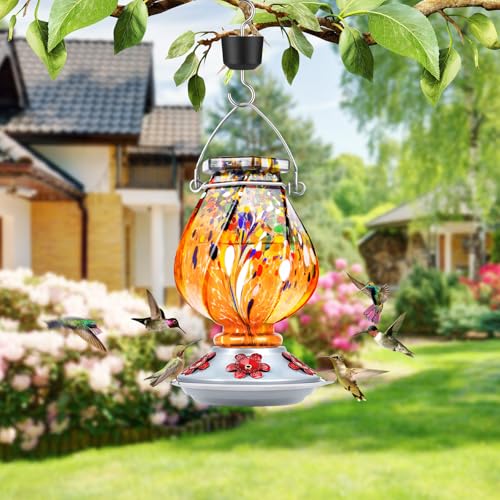Hummingbird Feeders for Outdoors Hanging, Hand Blown, Orange, 22oz | Glass Hummingbird Feeder with Ant Moat, 5 Bee-Proof Ports, Leak-Proof, 360° Perch, Garden Decor, Gifts for Women Men Mom Dad - color: Orange