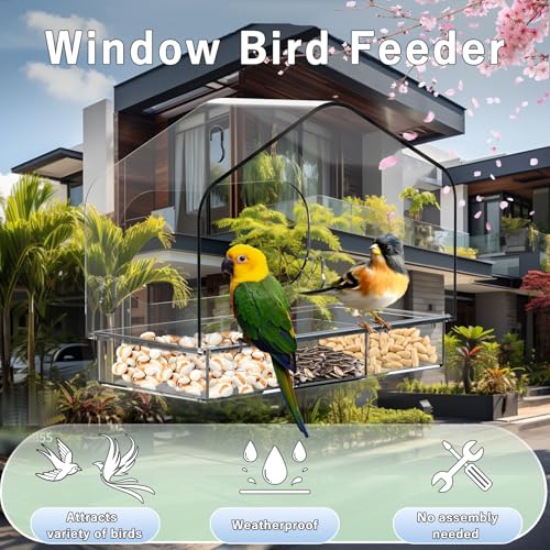 Clear Window Bird Feeder with 3 Strong Suction Cups and Detachable Seed Tray, Sturdy Acrylic Bird Feeders for Viewing Wild Birds Outside, and Garden Decor, Outdoor Birdhouse Feeder
