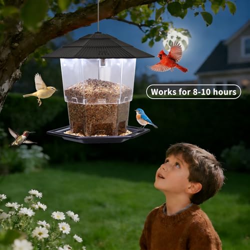 Solar Bird Feeder for Outdoors Hanging,Hanging Wild Bird Feeders with S Hook for Blue Bird, Cardinals, Finches,Wild Birds Seed Feeder, As Gift for Bird Lovers（Black） - color: Black Solar Bird Feeder