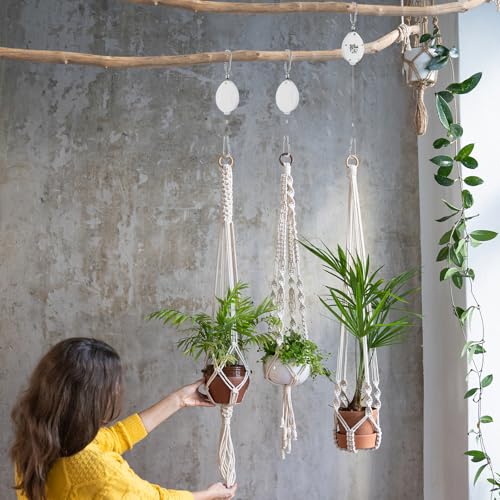Plant Pulleys for Hanging Plants, Heavy Duty Retractable Hangers, 304 Stainless Steel Rope, Auto Plant Holder, Adjustable Climbing Hook for Garden Baskets Watering, or Bird Feeders 2PC (White) - color: White