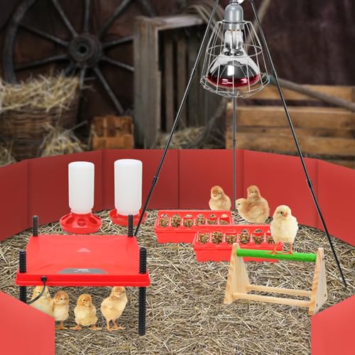 Chick Brooder Box, Chick Starter Kit with Heat Lamp, Chick Perch, Flip Top Poultry Feeder, Baby Chicken Supplies for Duck and Quail