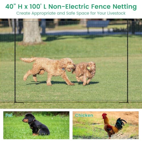Non Electric Fence Netting 40" x100', Boundary Fence with Double Spiked Posts, Portable Poultry Fence All-Purpose Fencing for Dogs, Chickens, Ducks, Turkeys Suitable in Backyard, Garden, Farm