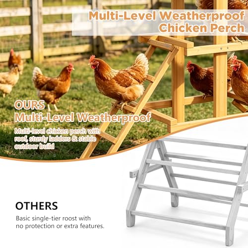 Wood Parrot Perch Multi-Tier Bird Play Stand with 2 Ladders and Canopy | Stable Wooden Bird Activity Playground, Suitable for Small Medium Parrots, Backyard Cage Accessory