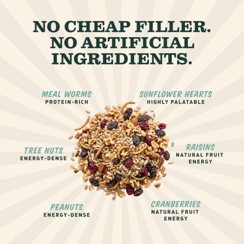 Mr. Bird Bugs, Nuts & Fruit Wild Bird Seed Bell, 2-Pack, 12.5 oz | Premium Blend of Mealworms, Sunflower Hearts & Cranberries | No Melt | Handcrafted in Texas - size: 12.5 Ounce (Pack of 2)