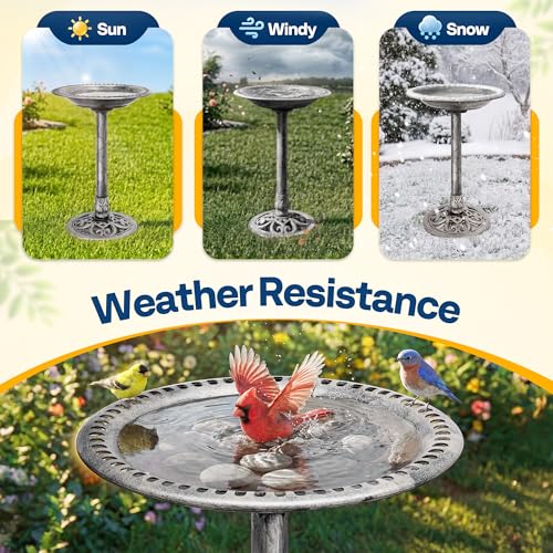VIVOHOME Bird Bath for Outside, Polyresin Pedestal Birdbath, Gray | Weather-Resistant, 20-Inch Bowl, 28-Inch Height, for Outdoor/Garden, Bird-Friendly, Easy to Clean - color: Gray
