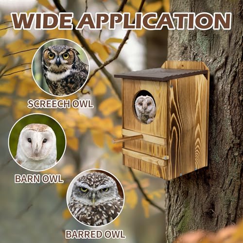8'' x 13'' Owl House for Outdoor, Screech Owl House, Bird Box Large Handmade Wooden Circular Opening Screech Box for Outside with Mounting Screws and A Bag of Wood Shavings