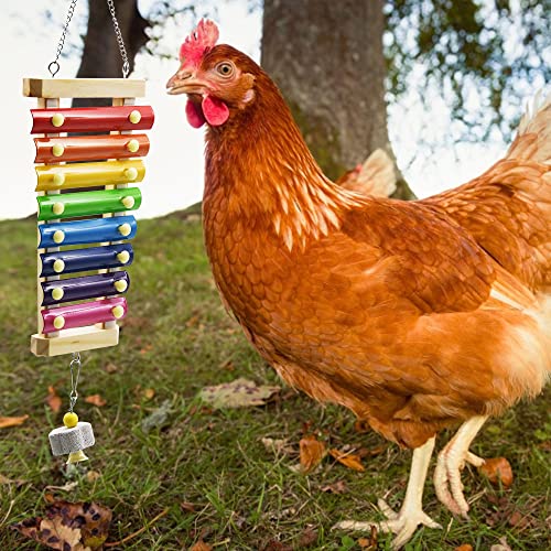 2pcs Chicken Toys, Chicken Swing Toys and Chicken Toys Xylophone | for Poultry Run Rooster Hens Chicks Pet Parrots Macaw Entertainment Stress Relief - size: 2pcs Chicken Swing Toys Set