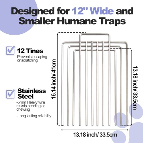Trap Cage Divider Stainless Steel Divider for 10" and 12" Wide