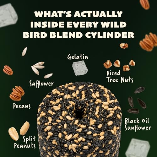JCs Wildlife Wild Bird Blend Seed Cylinder with Hole, Sunflower Safflower Pecans Peanuts Bird Food for Outside Feeders, Cardinals Woodpeckers Chickadees Nuthatches, Made in the USA, 1.5 lb, 1 Cylinder - size: 1.5 Pound (Pack of 1)