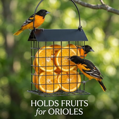 Hanging Suet Cake Peanut Bird Feeder for Crow, Blue Jay, Woodpecker, 1Pcs | Outdoor Cage Feeder & Nesting Holder with Weatherproof Roof Perch for Cardinals, Blue Grosbeaks, Mourning Doves, Orioles