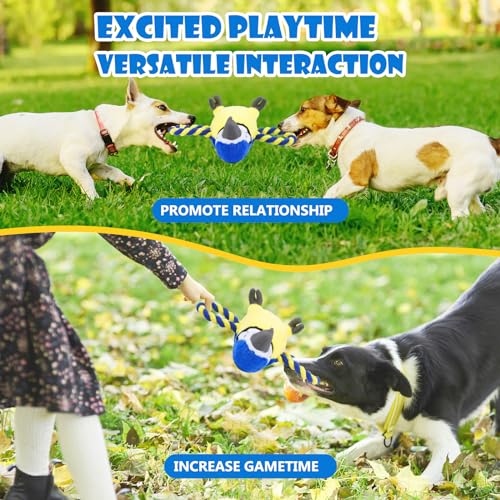 Upgraded Dog Squeak Toys Tug of War Squeaky Parrot Dog Toys with Strong Pull Rope, Superior Crinkle Paper and Big Squeaker Interactive Plush Bird Chew Toys for Small, Medium, and Large Dogs