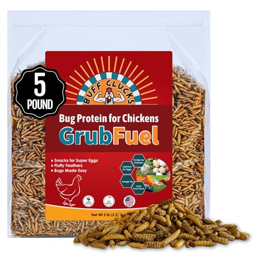 Buff Clucks Grub Fuel Black Soldier Fly Larvae for Chickens, Chick Feed 5lb | Chicken Snack for Poultry, Chicken Treats for Laying Hens, Dried BSFL Rich in Protein, Calcium, Fiber, Essential Fatty Acids - size: 5 Pound (Pack of 1)