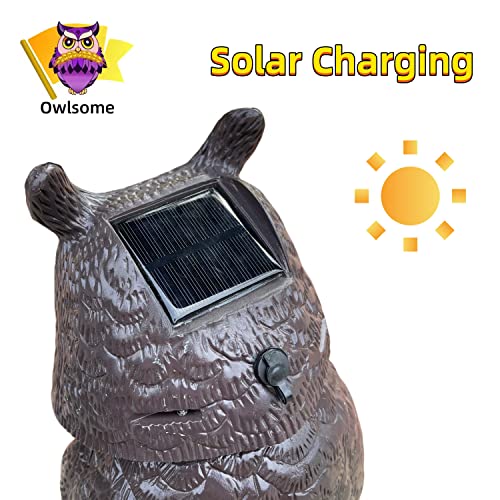 Solar Owl with Glowing Eyes, Rotating Head, Hoot Sound, Motion Detector and Silent Mode, Plastic Owl Garden Sculpture, Garden Decoration