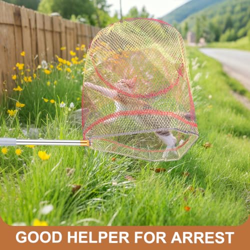 Chicken Catching Net 2 Pcs, 43" to 65" Adjustable Length Animal Net | Chicken Net Catcher Stainless Steel Poultry Catcher for Catching Small Chicken, Goose, Ducks, Fish, Birds(2 Nets & 1 Pole